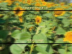 -映月湖中央公园