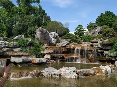-东莞植物园
