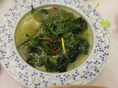 鸡汁桑叶-围龙屋客家食府(福田店)