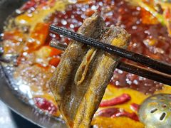 -铜元老码头鳝鱼火锅