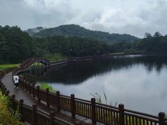 -海南热带雨林国家公园吊罗山景区