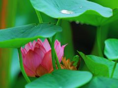 -钱王祠