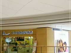 -小马快跑早教托育(茂悦里中心)