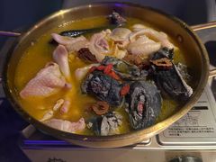 -Darling Queen·Mini·Live·House