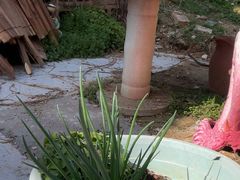 -鱼乐岛餐厅·户外花园主题餐厅