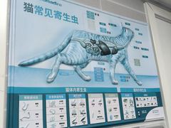 -芭比堂动物医院·心脏科·老年急重症·夜诊·吉雅分院