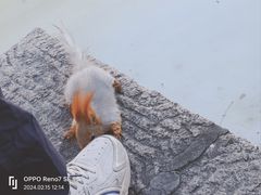 -颐和园