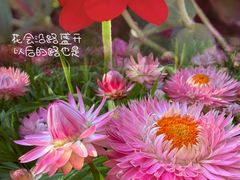 -云溪植物园