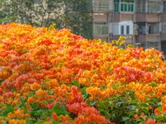 -天河客运站(地铁站)