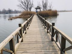 -野鸭湖国家湿地公园