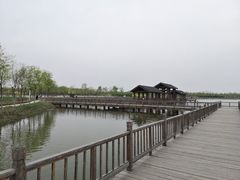 -天津东丽湖风景区