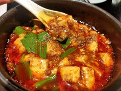 -陈麻婆豆腐总店