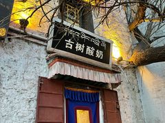 -古树酸奶(八廓南街店)