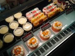 -龙兴·动物奶油生日蛋糕(龙北店)