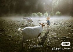 -哈妮儿童摄影(德清店)
