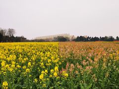 -中国天府农业博览园