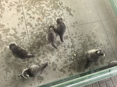-秦皇岛野生动物园