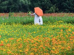 -长广溪湿地公园