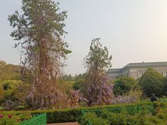 -河南省黄河迎宾馆