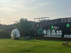 -黄海国家森林公园