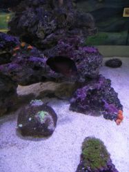 -酷嗒动物文化乐园(cutezoo西溪乐天城店)