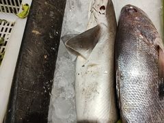 -沈家门渔港