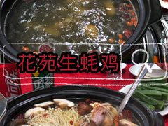 -花苑美食横琴生蚝火锅(拱北粤华路店)