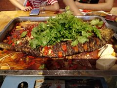 -虾恋蛤蟆功