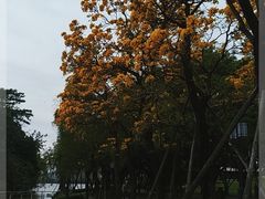 -顺峰山公园