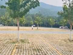 -北京十三陵国家森林公园蟒山景区