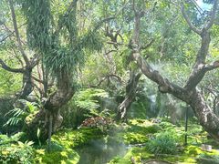 -Chom Cafe and Restaurant