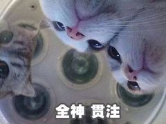 -卓粤拉肠(红庙店)