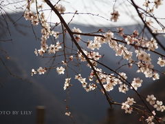 -藏山旅游风景区