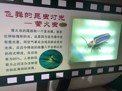 -上海昆虫博物馆