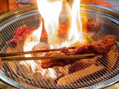 -杨小佳·齐齐哈尔烤肉·烤串(广州店)