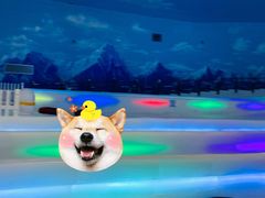-世界之窗阿尔卑斯冰雪世界