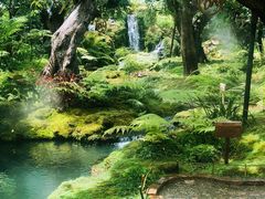 -Chom Cafe and Restaurant