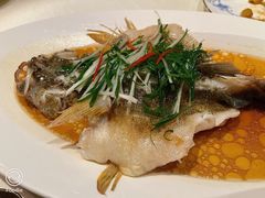 清蒸笋壳鱼-皇朝会.经典传统粤菜(外滩店)