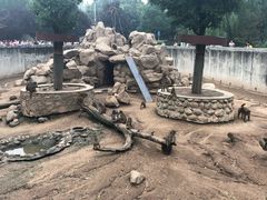 -西安秦岭野生动物园