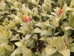 -下渚湖国家湿地公园科普馆