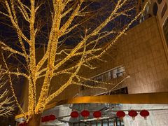 -北京康莱德酒店