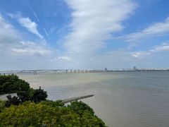-大湾区中央湿地公园