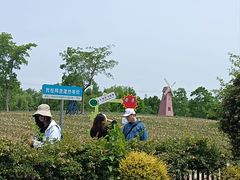 -同里国家湿地公园
