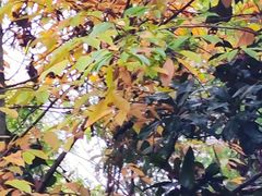 -白鹭湾湿地公园