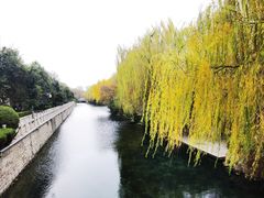 -环城公园