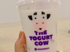 -一只酸奶牛(八一路店)