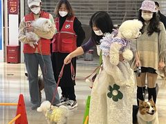 -金茂览秀城