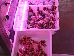 -花鸟鱼虫鲜花绿植市场(玉泉路店)