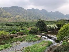 -中国茶叶博物馆(双峰馆区)