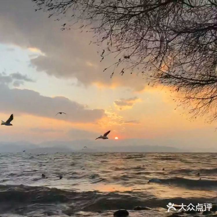 在这个咖啡店看着洱海发半天呆